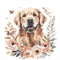 Animal Integration-DW 429